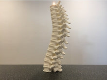 Load image into Gallery viewer, Spinal Column Tea Light Holder Creepy Halloween Decor